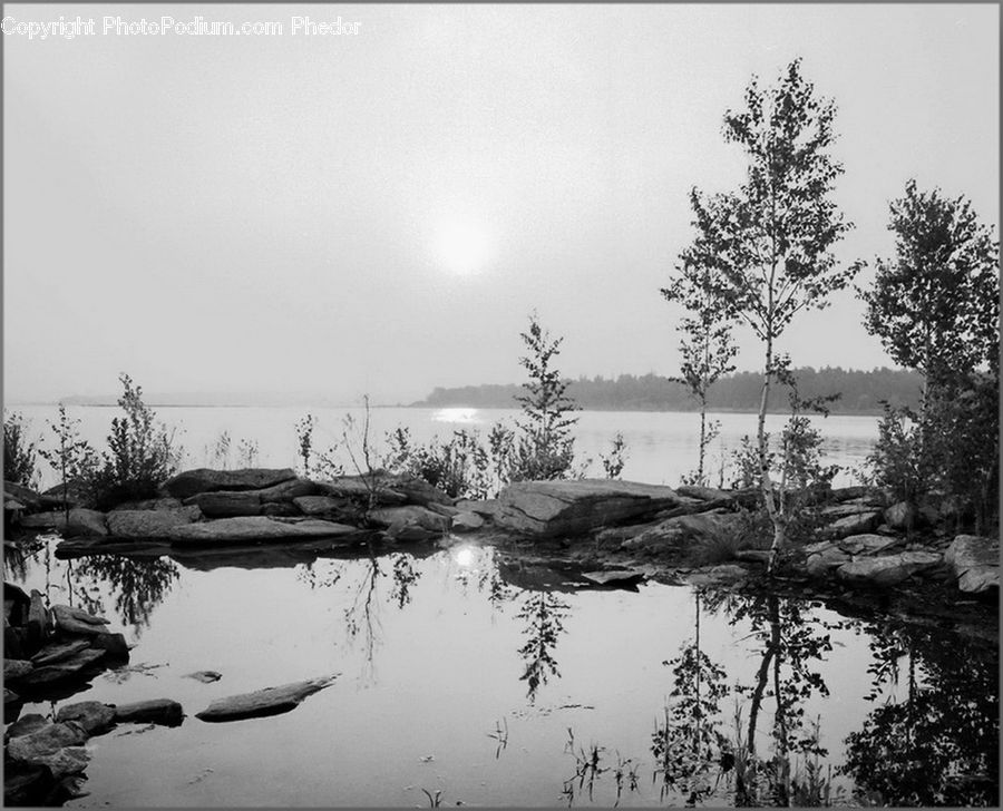 Outdoors, Pond, Water, Land, Marsh, Swamp, Rock