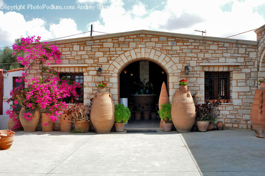 Plant, Potted Plant, Pot, Pottery, Patio, Building, Housing