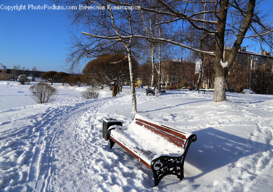 Bench, Park Bench, Landscape, Nature, Scenery