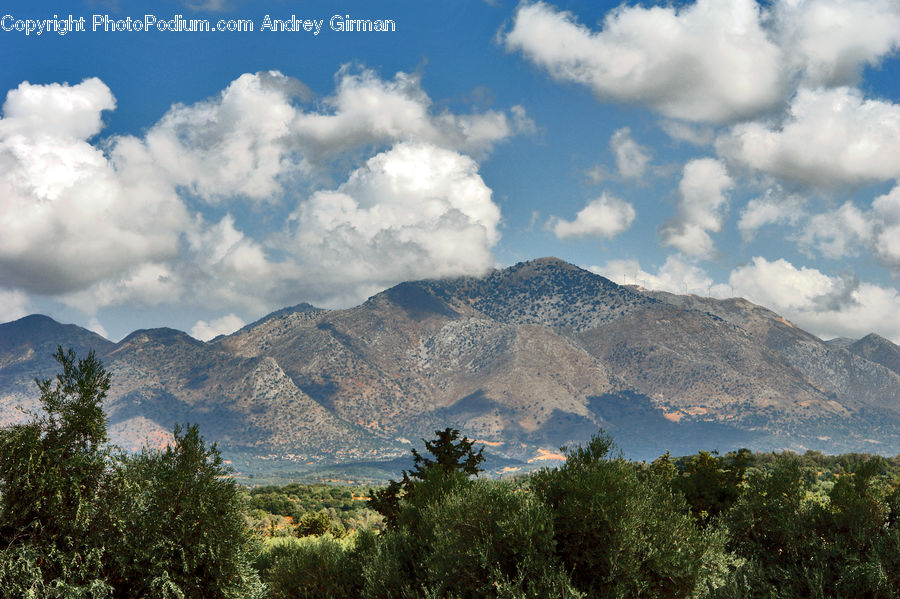 Cloud, Cumulus, Sky, Bush, Plant, Vegetation, Azure Sky