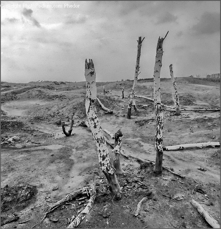 Ground, Soil, Outdoors, Sand, Rubble