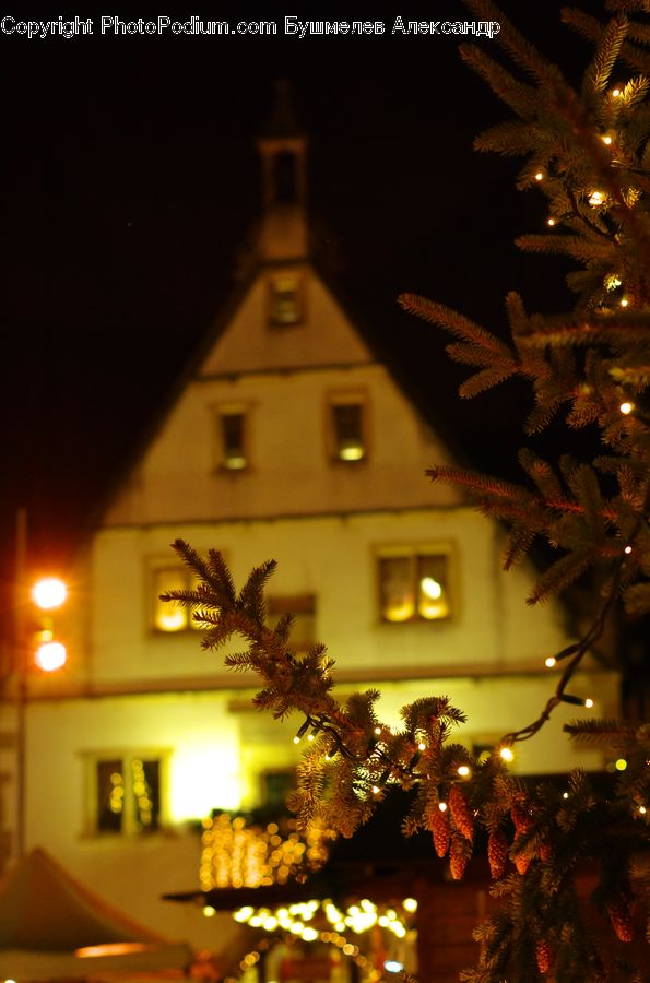 Palm Tree, Plant, Tree, Fireworks, Night, Architecture, Bell Tower