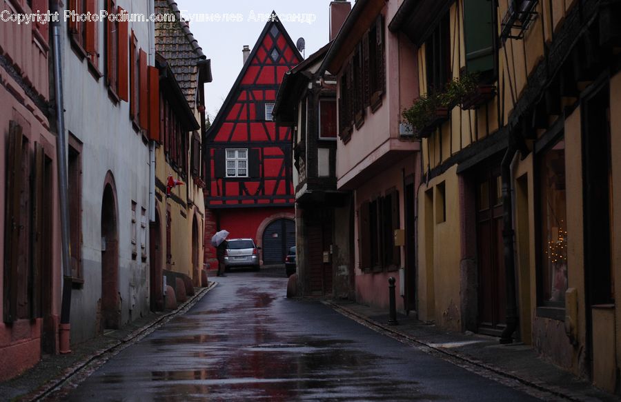 Plant, Potted Plant, Alley, Alleyway, Road, Street, Town