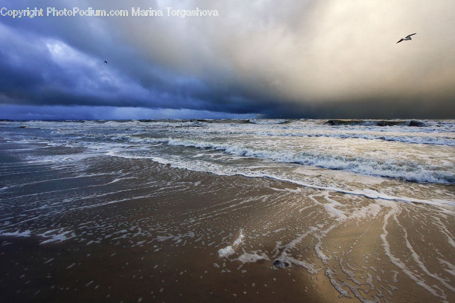 Ocean, Outdoors, Sea, Water, Beach, Coast, Sea Waves