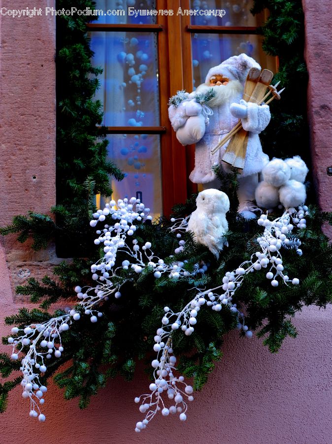 Teddy Bear, Toy, Plant, Potted Plant, Cobblestone, Pavement, Walkway