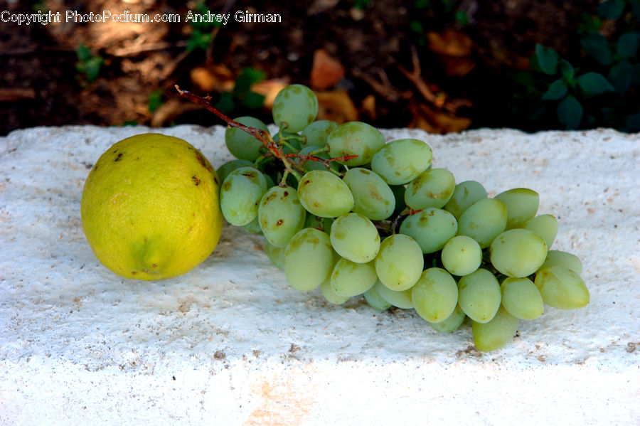 Durian, Fruit, Jackfruit, Grapes, Plant, Potted Plant, Citrus Fruit