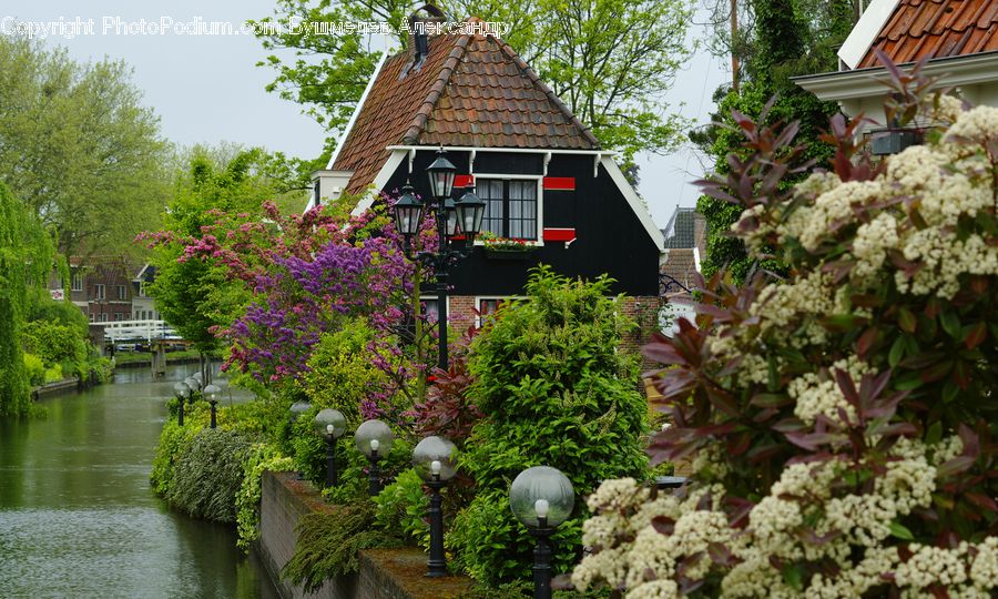 Building, Cottage, Housing, Plant, Potted Plant, Outdoors, Pond