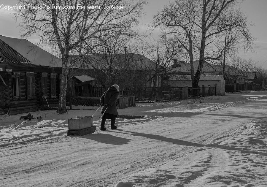 People, Person, Human, Ice, Outdoors, Snow, Canopy