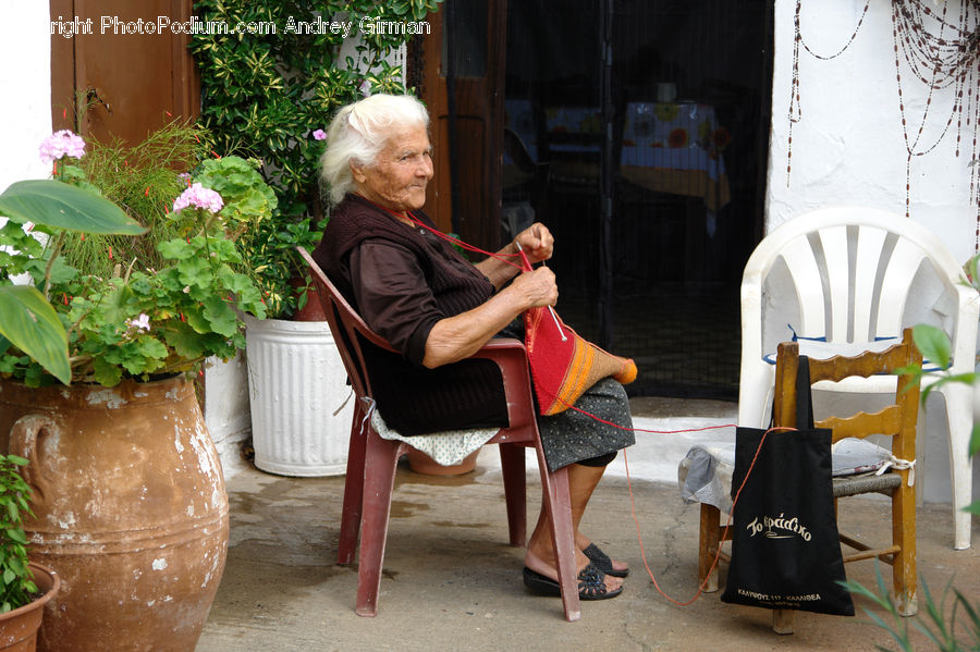 People, Person, Human, Plant, Potted Plant, Deck, Housing