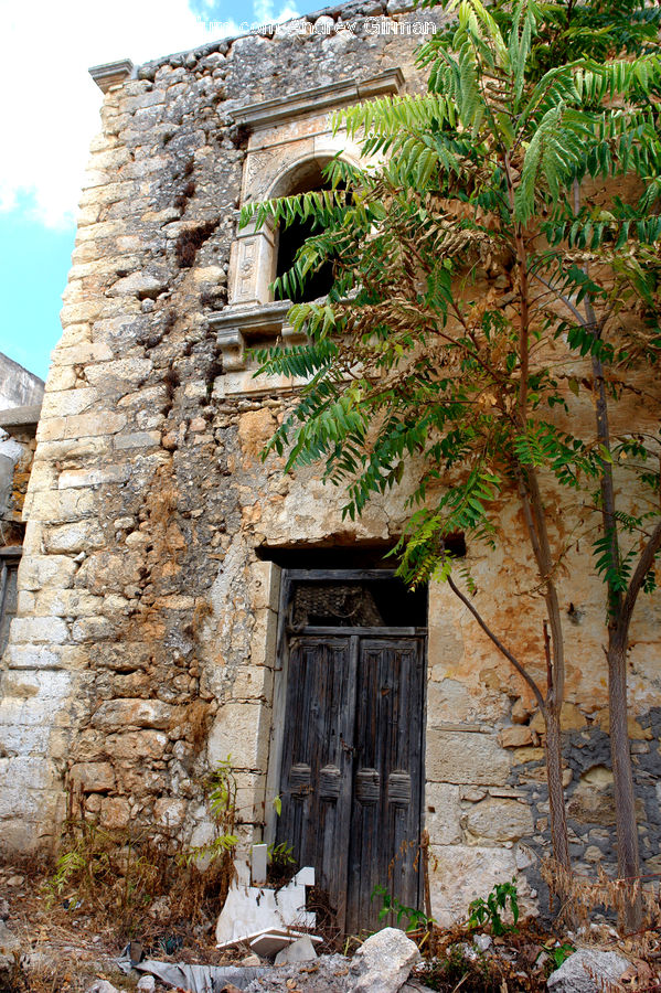 Fern, Plant, Outhouse, Shack, Ruins, Architecture, Bell Tower