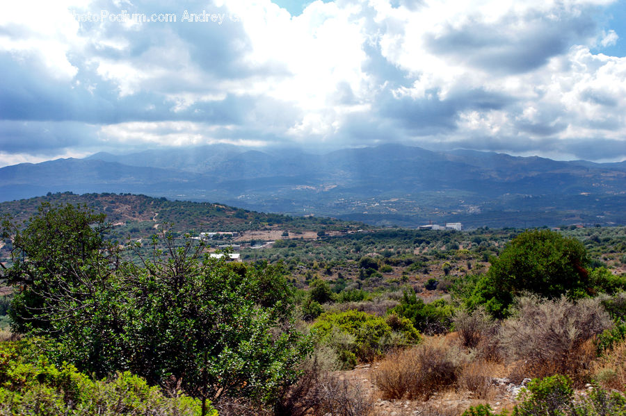 Outdoors, Wilderness, Bush, Plant, Vegetation, Plateau, Landscape