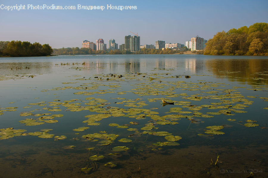 Outdoors, Pond, Water, Lake, Building, Housing, City
