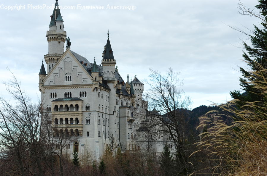 Architecture, Castle, Fort, Building, Housing, Villa, Cathedral