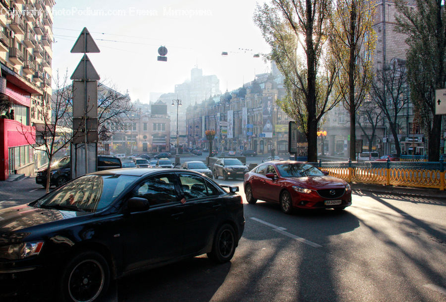 Automobile, Car, Coupe, Sports Car, Vehicle, Alley, Alleyway