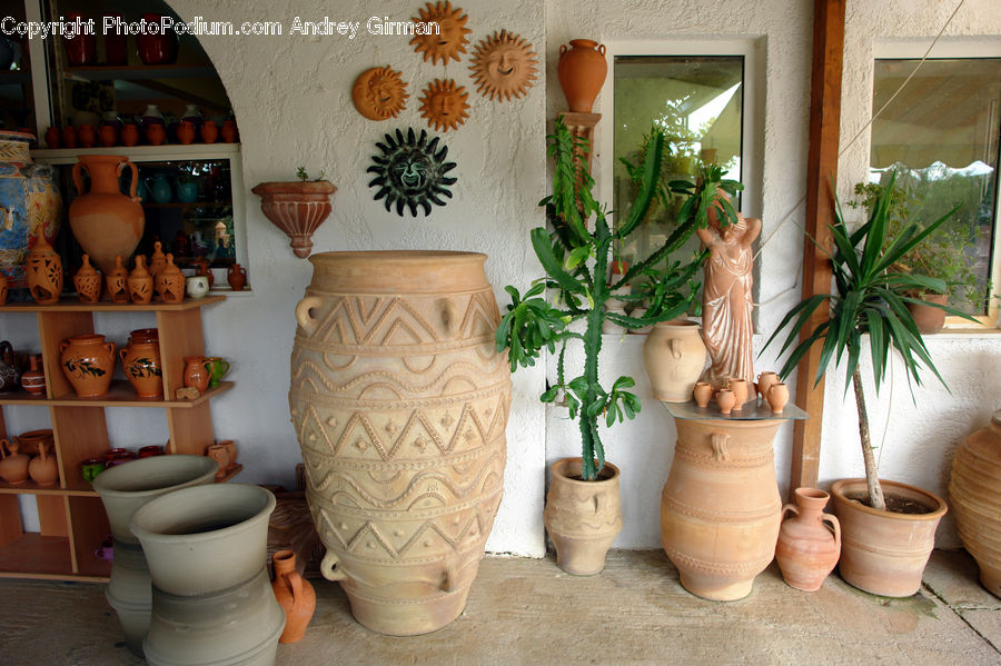 Plant, Potted Plant, Toilet, Pot, Pottery, Bonsai, Tree
