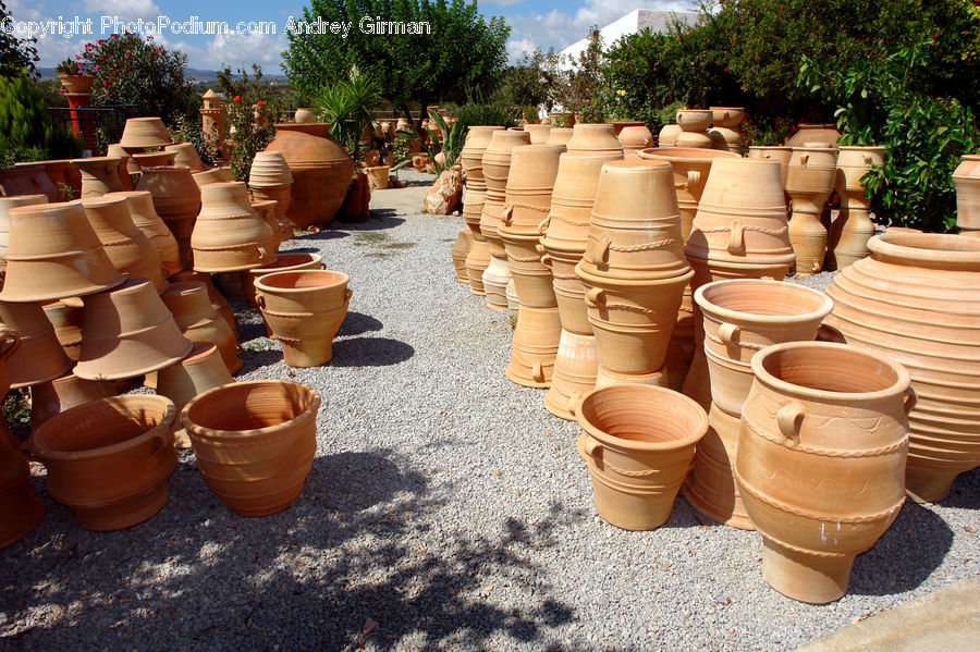 Plant, Potted Plant, Pot, Pottery, Herbal, Herbs, Planter
