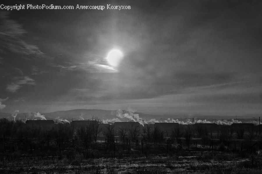 Astronomy, Moon, Night, Outdoors, Space, Forest, Vegetation