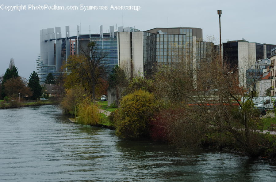 Plant, Tree, Bench, Outdoors, River, Water, Factory