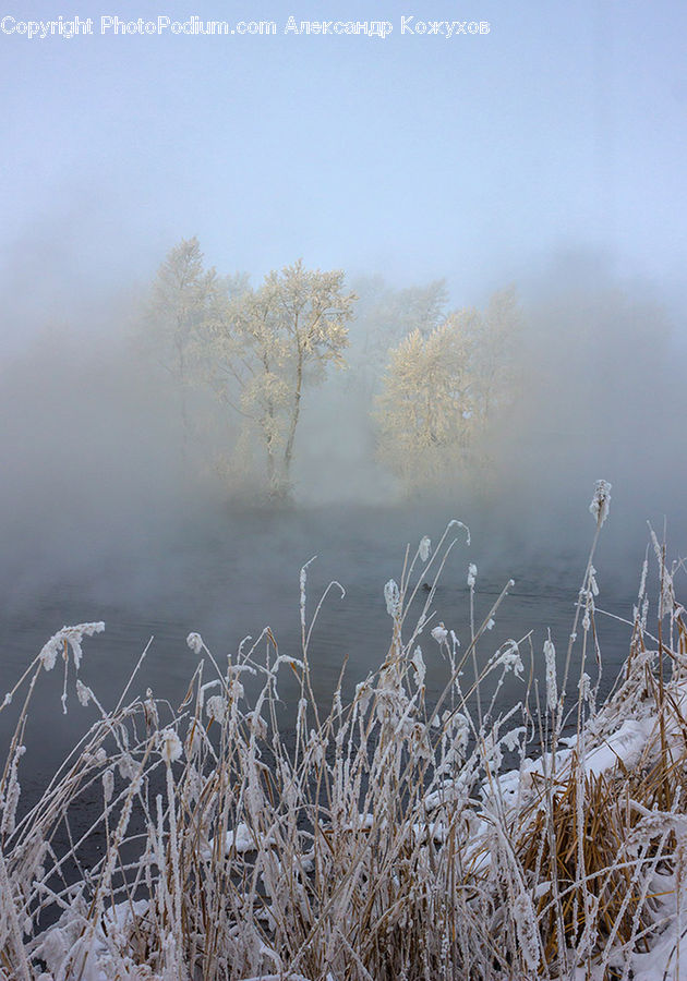 Frost, Ice, Outdoors, Snow, Field, Grass, Grassland