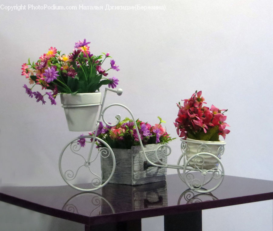 Plant, Potted Plant, Flower Arrangement, Ikebana, Vase, Pot, Pottery