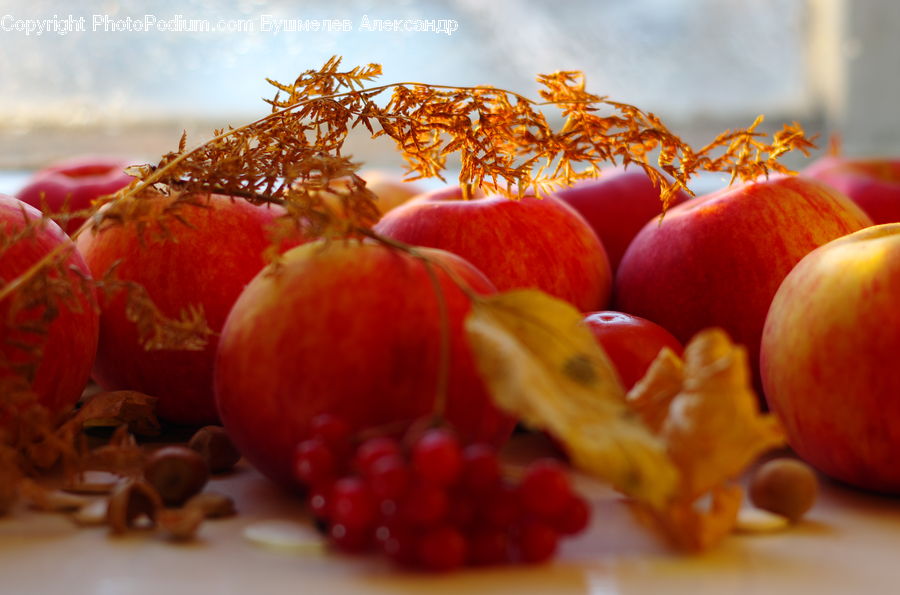 Citrus Fruit, Fruit, Orange, Apple, Peach, Raspberry, Cherry