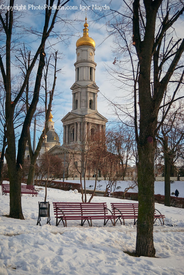 Architecture, Bell Tower, Clock Tower, Tower, Bench, Park Bench, Plant