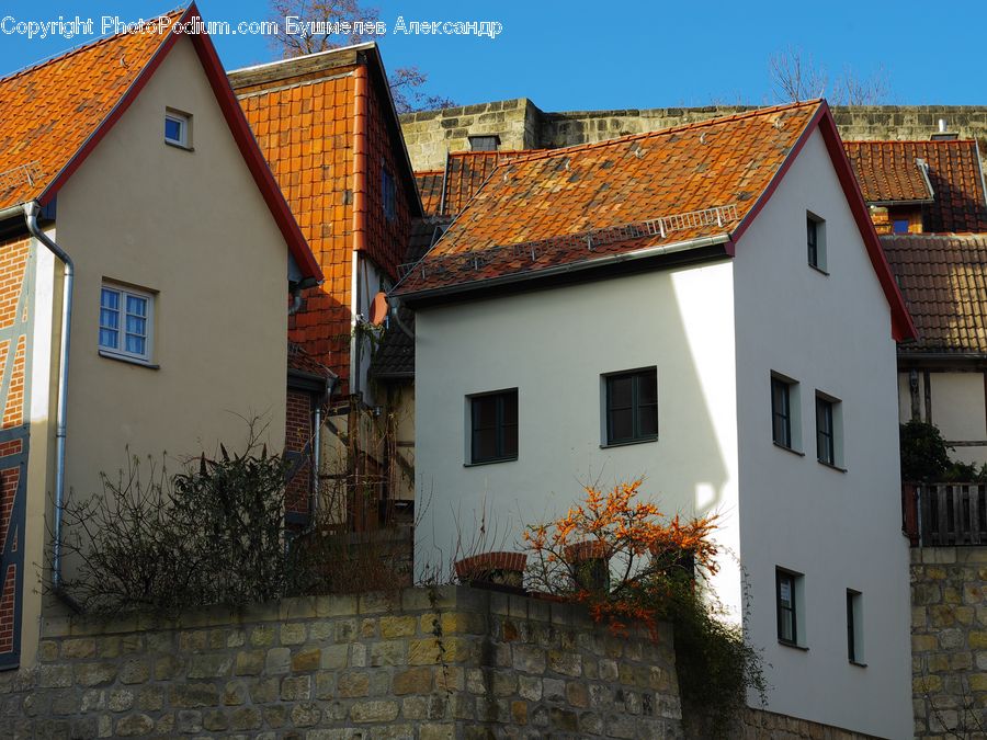 Building, Cottage, Housing, Plant, Potted Plant, Fence, Wall