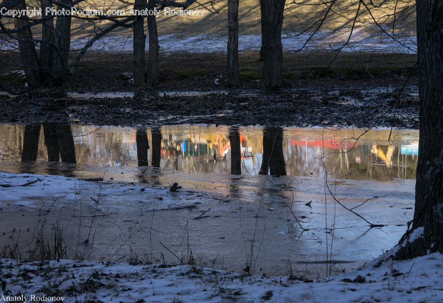 Fence, Wall, Water, Backyard, Yard