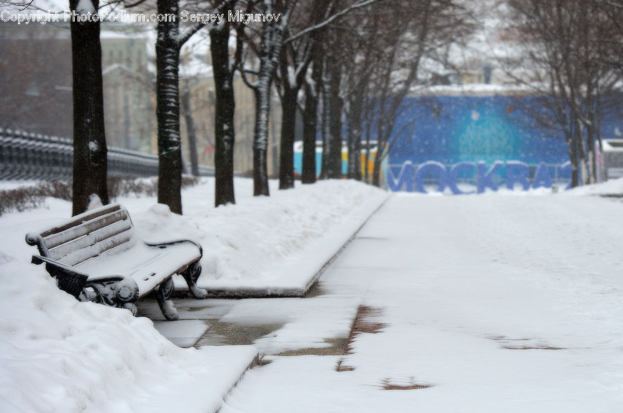 Blizzard, Outdoors, Snow, Weather, Winter, Bench, Park Bench