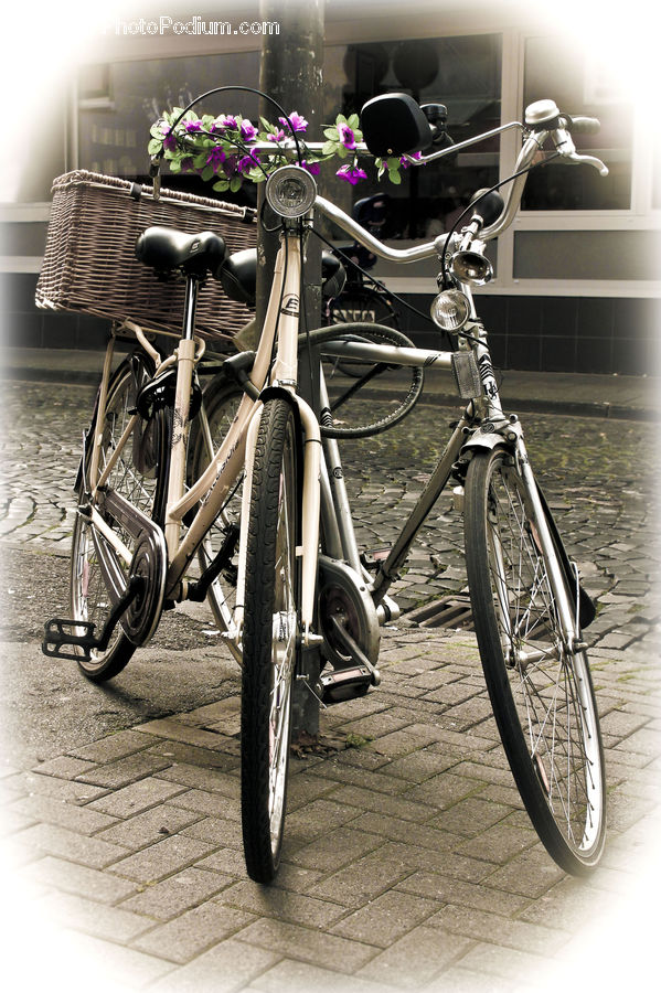 Bicycle, Bike, Vehicle, Accessories, Lighting, Blossom, Flora