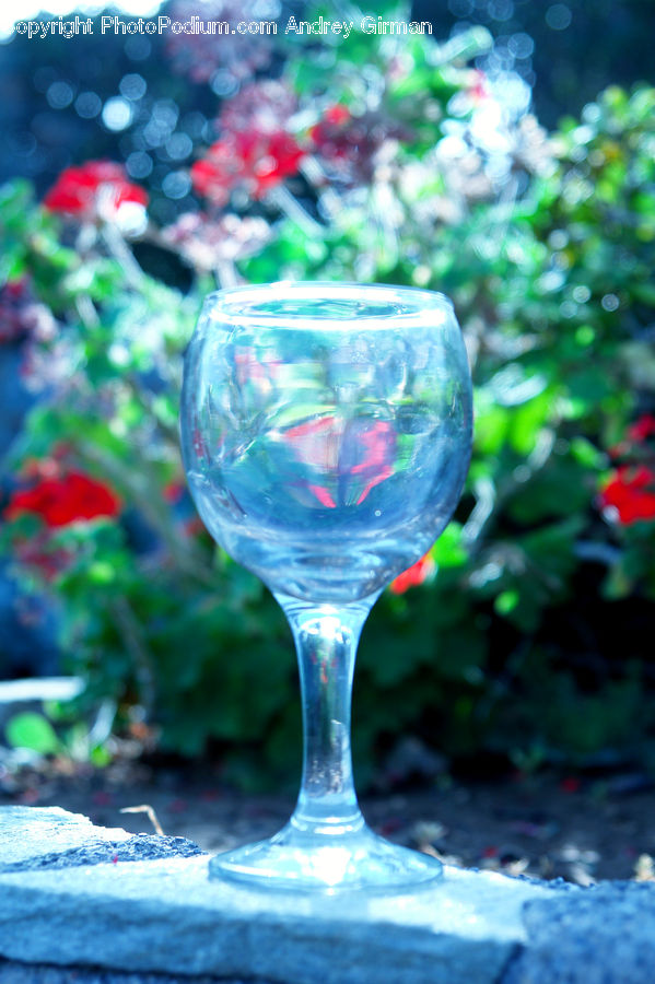 Bubble, Glass, Goblet, Beverage, Wine, Wine Glass, Water