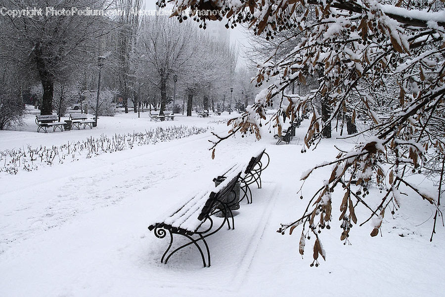 Bench, Ice, Outdoors, Snow, Bicycle, Bike, Vehicle