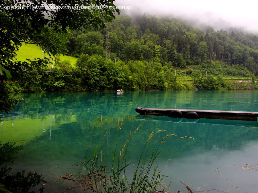 Boat, Watercraft, Outdoors, Pond, Water, Plant, Tree