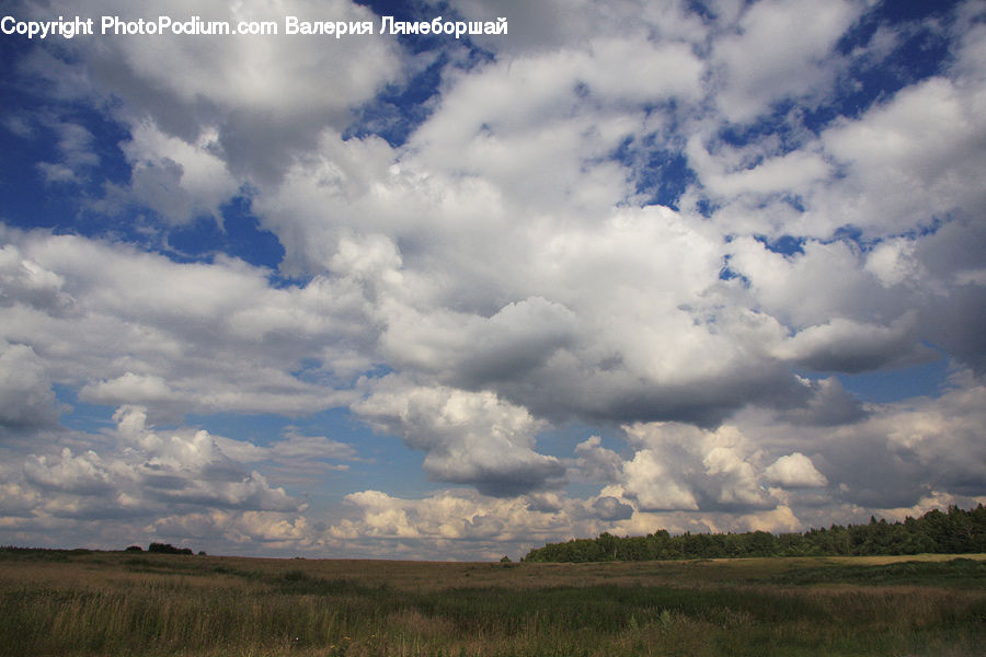 Cloud, Cumulus, Sky, Azure Sky, Outdoors, Field, Grass