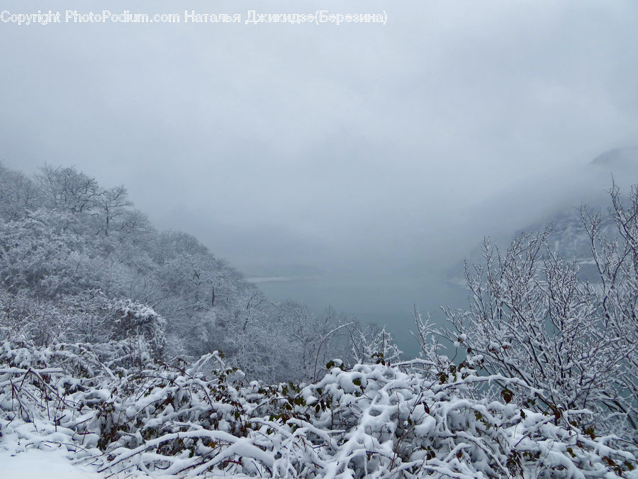 Frost, Ice, Outdoors, Snow, Landscape, Nature, Scenery