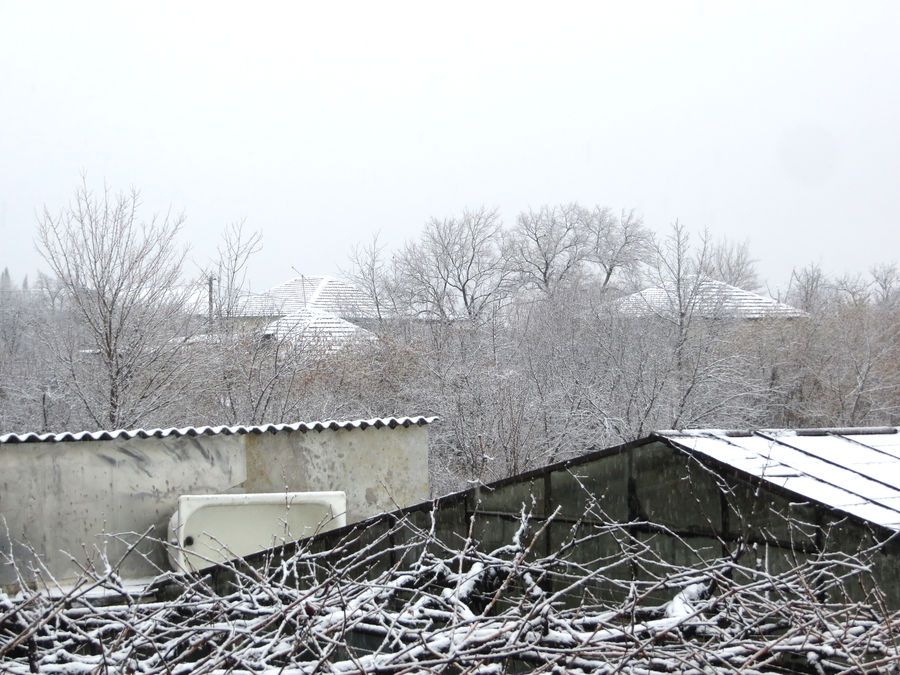 Frost, Ice, Outdoors, Snow