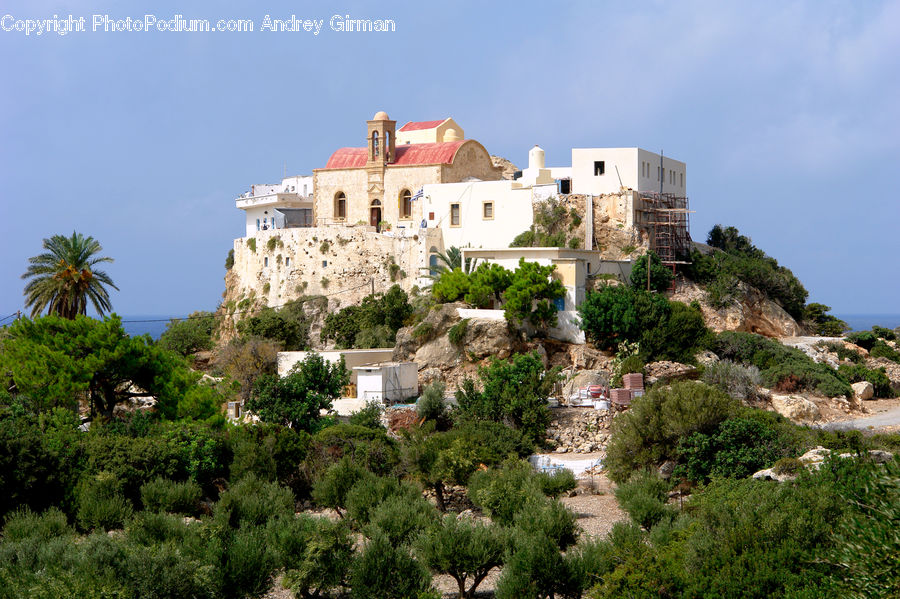 Architecture, Housing, Monastery, Castle, Fort, Palm Tree, Plant