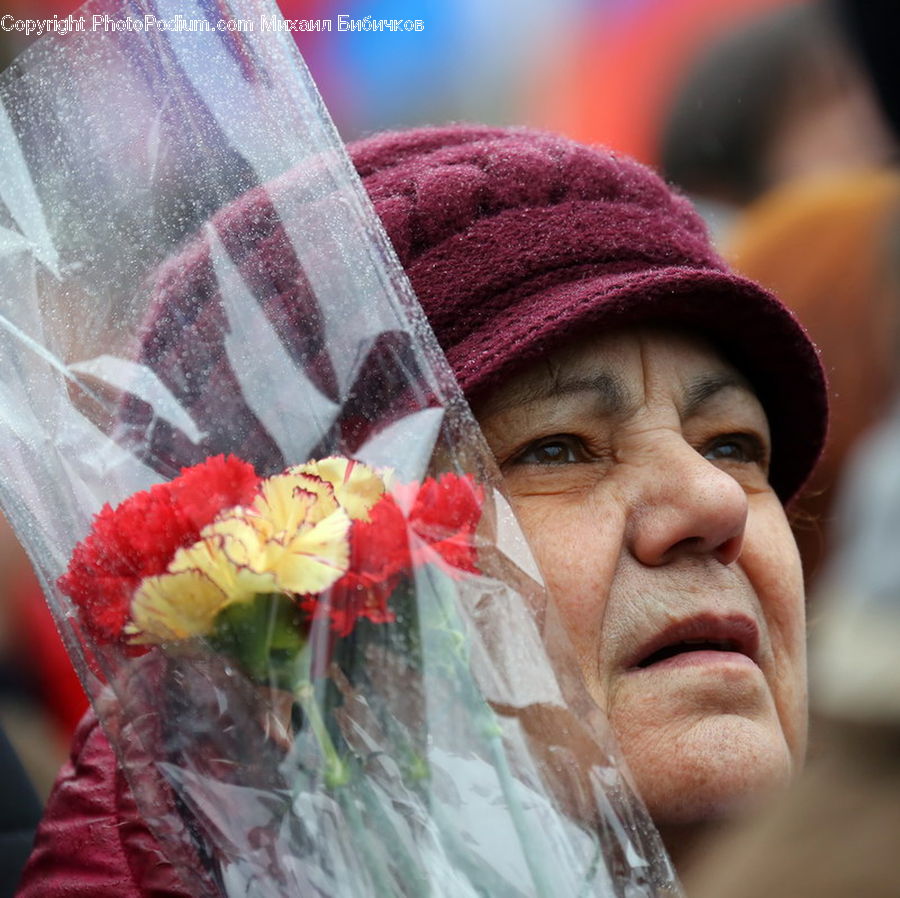 People, Person, Human, Veil, Blossom, Carnation, Flower