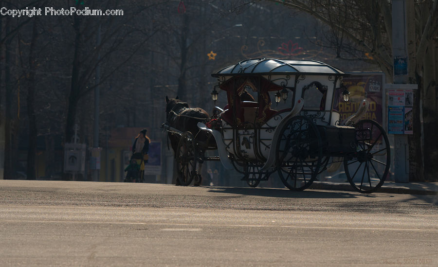 Bicycle, Bike, Vehicle, Carriage, Horse Cart, Buggy, Wagon