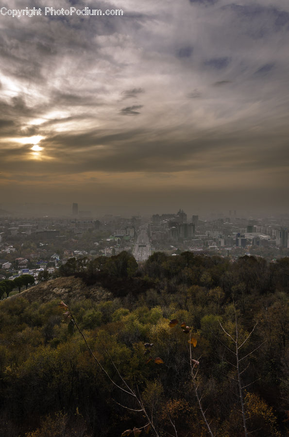 Landscape, Nature, Scenery, Fog, Pollution, Smog, Smoke