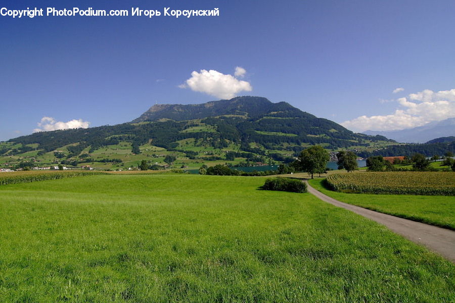 Countryside, Field, Grass, Grassland, Paddy Field, Land, Outdoors