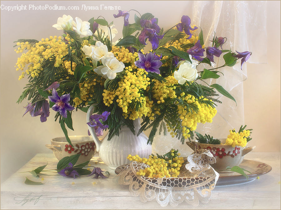 Floral Design, Flower, Flower Arrangement, Flower Bouquet, Ikebana, Mimosa, Plant