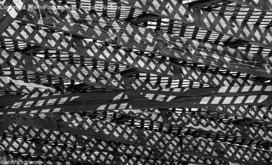 Art, Modern Art, Fern, Plant, Fence, City, Downtown