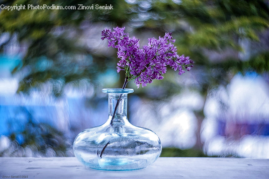 Glass, Goblet, Blossom, Flora, Flower, Plant, Lilac