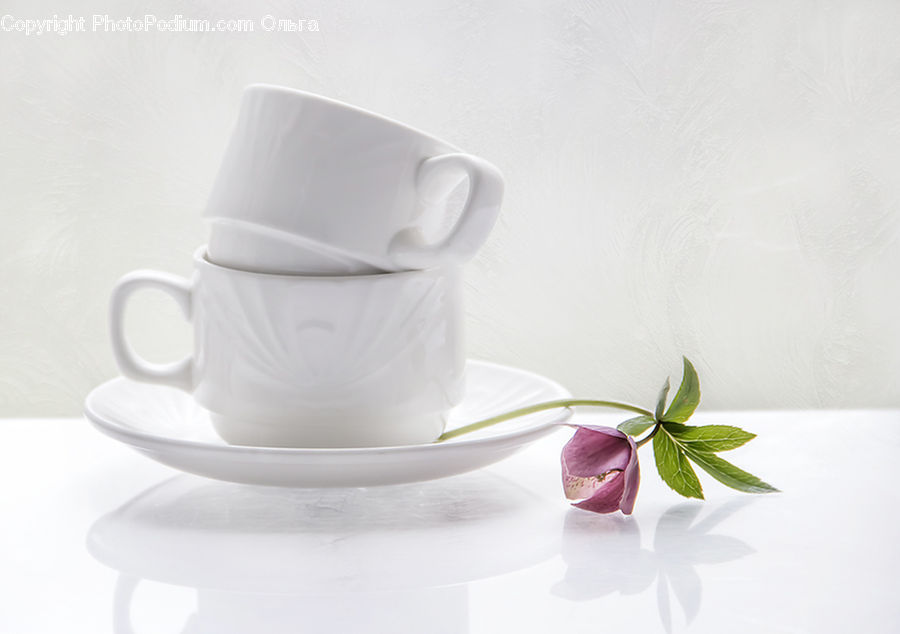 Porcelain, Saucer, Coffee Cup, Cup, Flower Arrangement, Ikebana, Plant