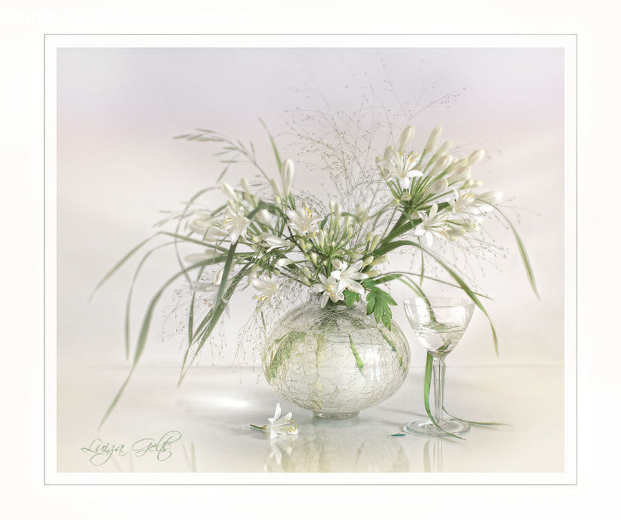 Flower Arrangement, Ikebana, Plant, Potted Plant, Vase, Dill, Floral Design
