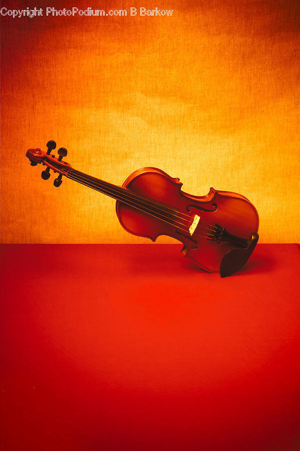 Cello, Fiddle, Musical Instrument, Violin, Viola, Bass Guitar, Guitar