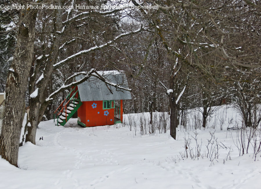 Outhouse, Shack, Building, Cottage, Housing, Ice, Outdoors