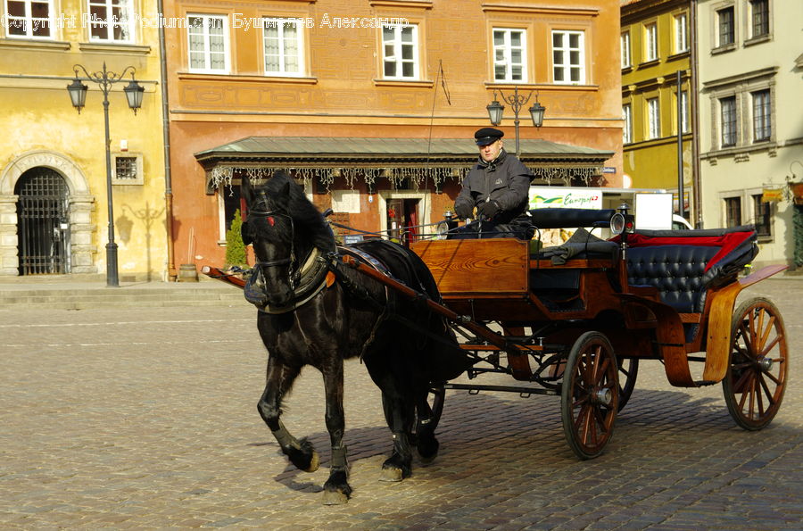 Carriage, Horse Cart, Vehicle, Animal, Horse, Mammal, Antique Car