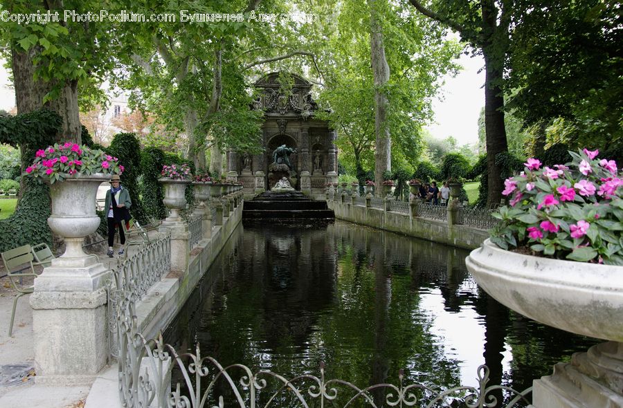 Plant, Potted Plant, Outdoors, Pond, Water, Pot, Pottery